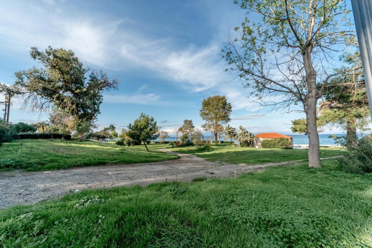 Nika Apartment Χανιώτη Εξωτερικό φωτογραφία